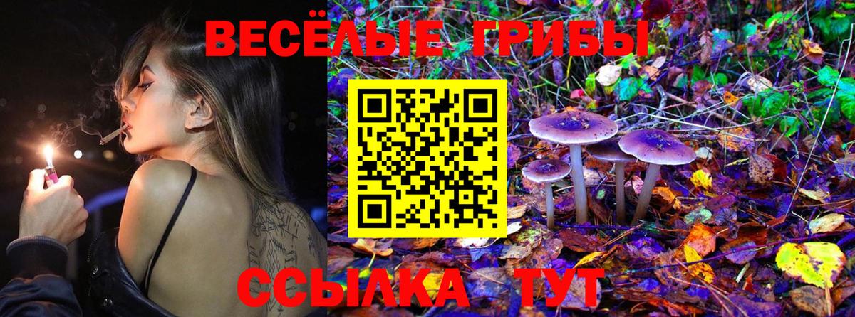 Галлюциногенные грибы прущие грибы Семилуки