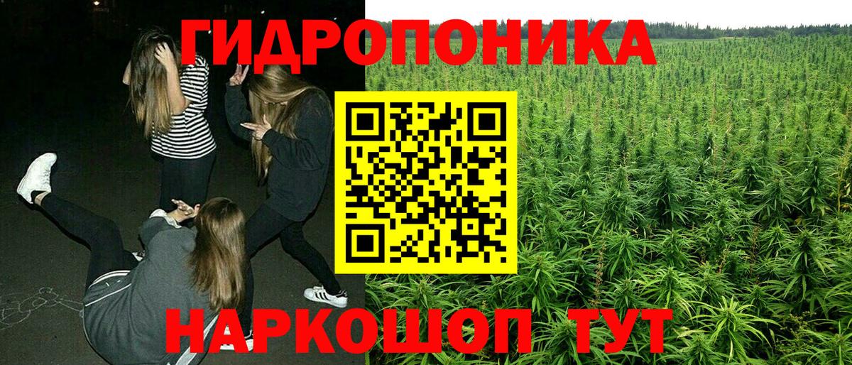 Бошки Шишки ГИДРОПОН Семилуки